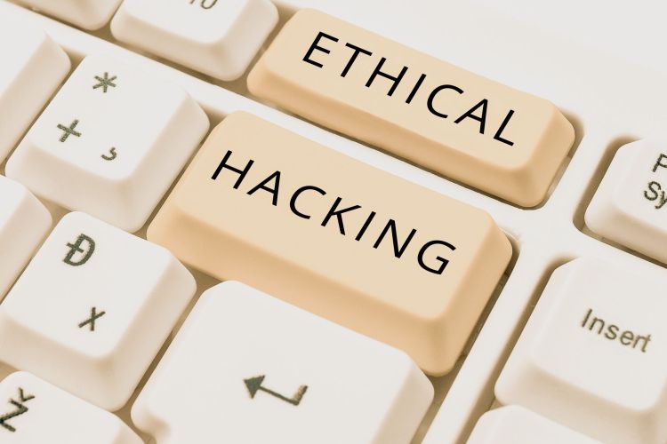 Gobugfree verbindet Unternehmen und ethische Hacker